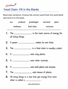 Complete the food chain worksheet for grade 1