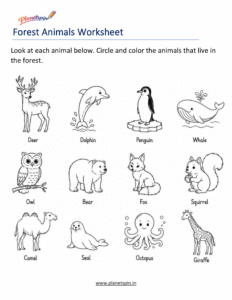 Forest animals habitat worksheet for grade 1