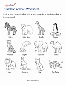 Grassland animal habitats worksheet for grade 1