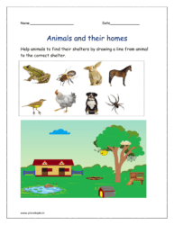 Help animals to find their shelters by drawing a line from animal to the correct shelter