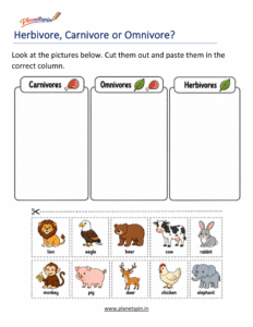 Food chain cut and paste worksheet