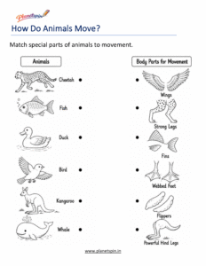Grade 1 life science animal adaptation worksheet