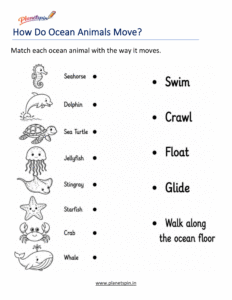 Ocean animals and the way they move worksheet