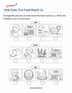 Food journey sequencing worksheet