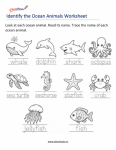 Trace ocean animals names worksheet for grade 1