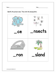 Identify the picture name and then write the missing letter i: sheet 2