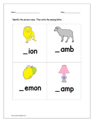 Identify the picture name and then write the missing letter l: sheet 1
