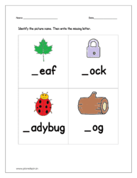 Identify the picture name and then write the missing letter l: sheet 2