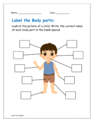 Body parts name worksheets