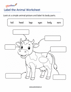Label animal body parts worksheet