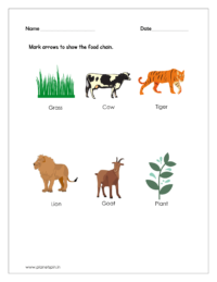 science worksheet pdf for kindergarten science worksheets for preschool