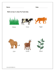 Mark arrows to show the food chain (Kindergarten worksheet science)