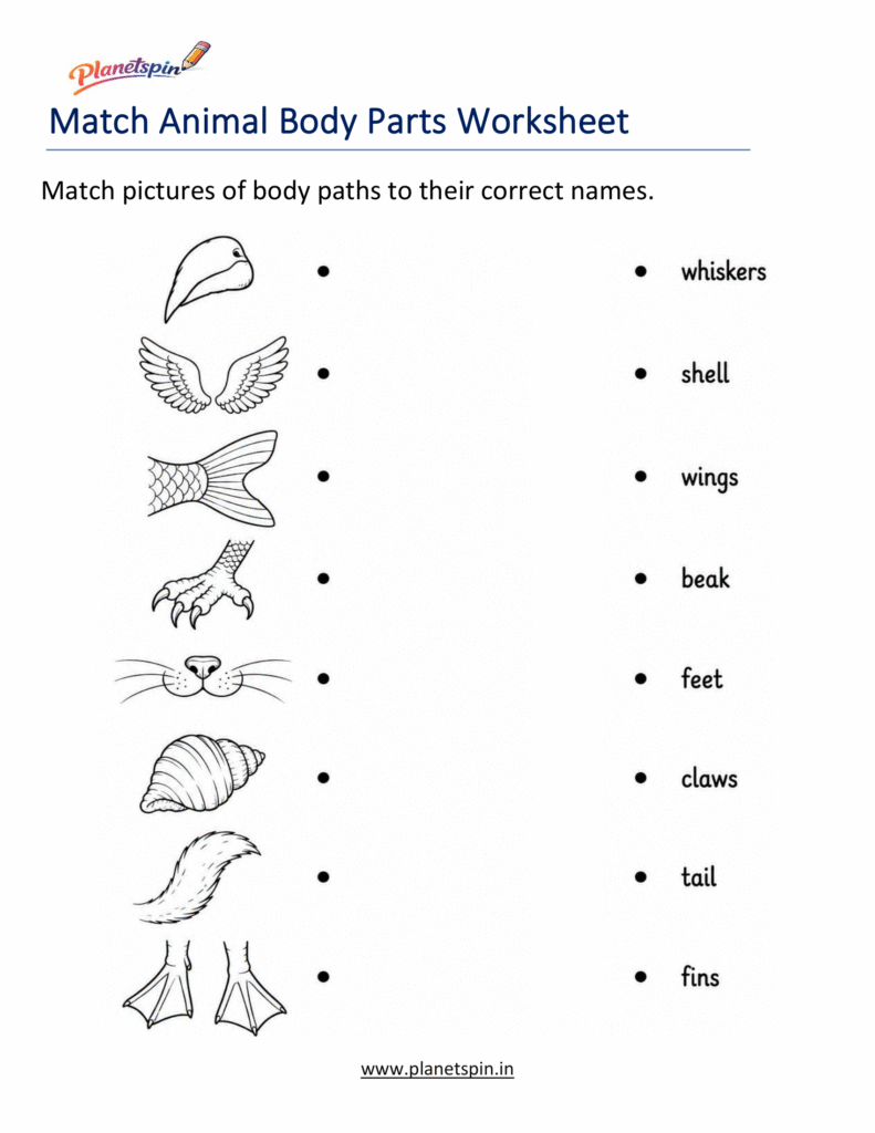 Grade 1 animal body parts science worksheet