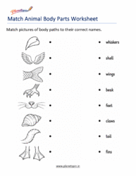Grade 1 animal body parts science worksheet