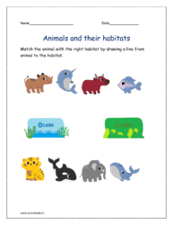 Ocean and jungle: Match the animal with the right habitat by drawing a line from animal to the habitat