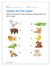 Animals and their young ones worksheet
