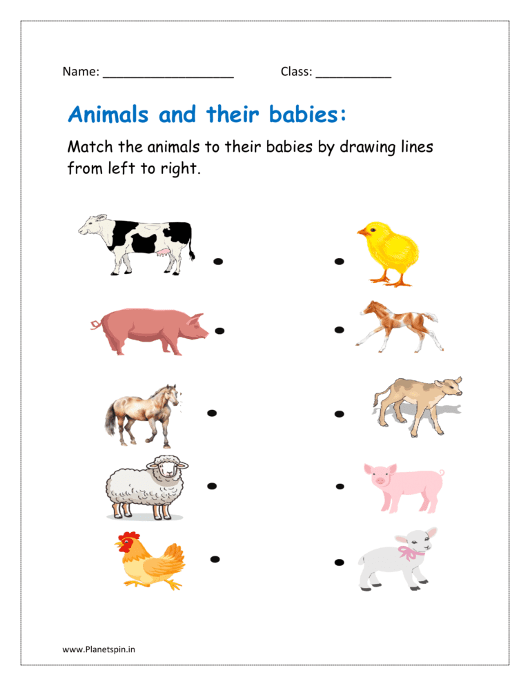 Animals and their young ones worksheet | Planetspin.in