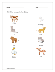 Match the animals with their babies (Kindergarten worksheet science)