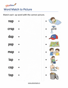 Match -AP Words to Pictures Activity