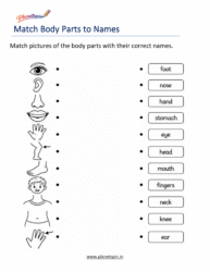 Human Body Parts Worksheets for Grade 1