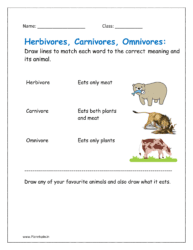 Herbivore carnivore omnivore worksheets