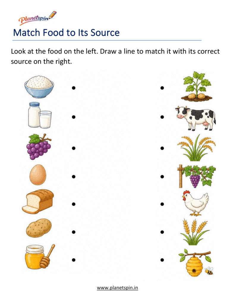 Food source matching worksheet for grade 1