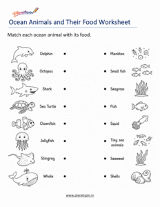 Ocean animals and their food worksheet for grade 1
