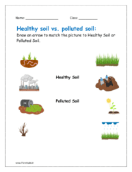 Soil pollution or Land pollution worksheet