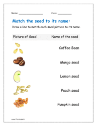 Identify seeds of plants and trees
