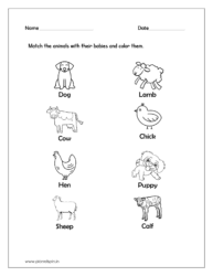 Match the animals with their babies and color them (Kindergarten worksheet science)