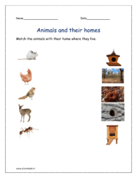 Match the animals with their habitats