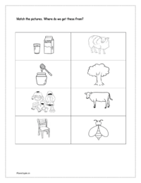 science worksheet pdf for kindergarten science worksheets for preschool