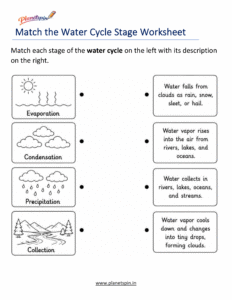 Water cycle matching worksheet