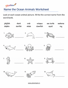 Ocean animal names worksheet for grade 1