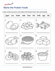 Protein Foods Worksheets for Grade 1