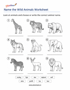 Wild animal names worksheet for grade 1