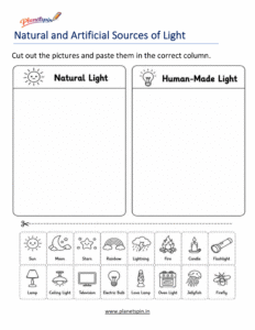 Light sources sorting worksheet for grade 1