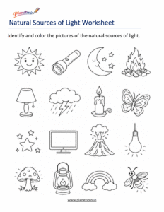 Natural sources of light worksheet for grade 1