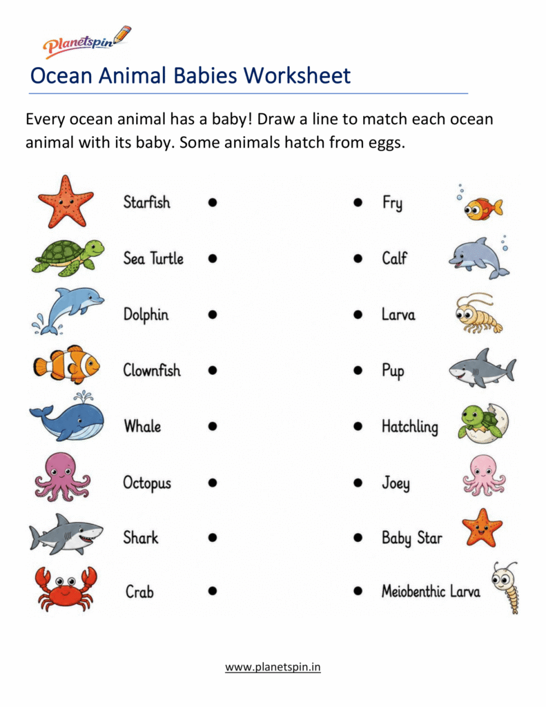 Grade 1 ocean animals science worksheet