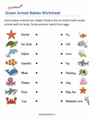 Grade 1 ocean animals science worksheet