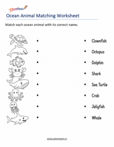 Match ocean animals with their names worksheet
