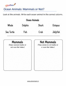Ocean animals Mammals or not mammals worksheet