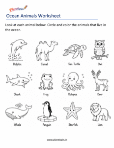 Ocean animal habitats worksheet for grade 1