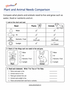 Plant and animal similarities and differences worksheet