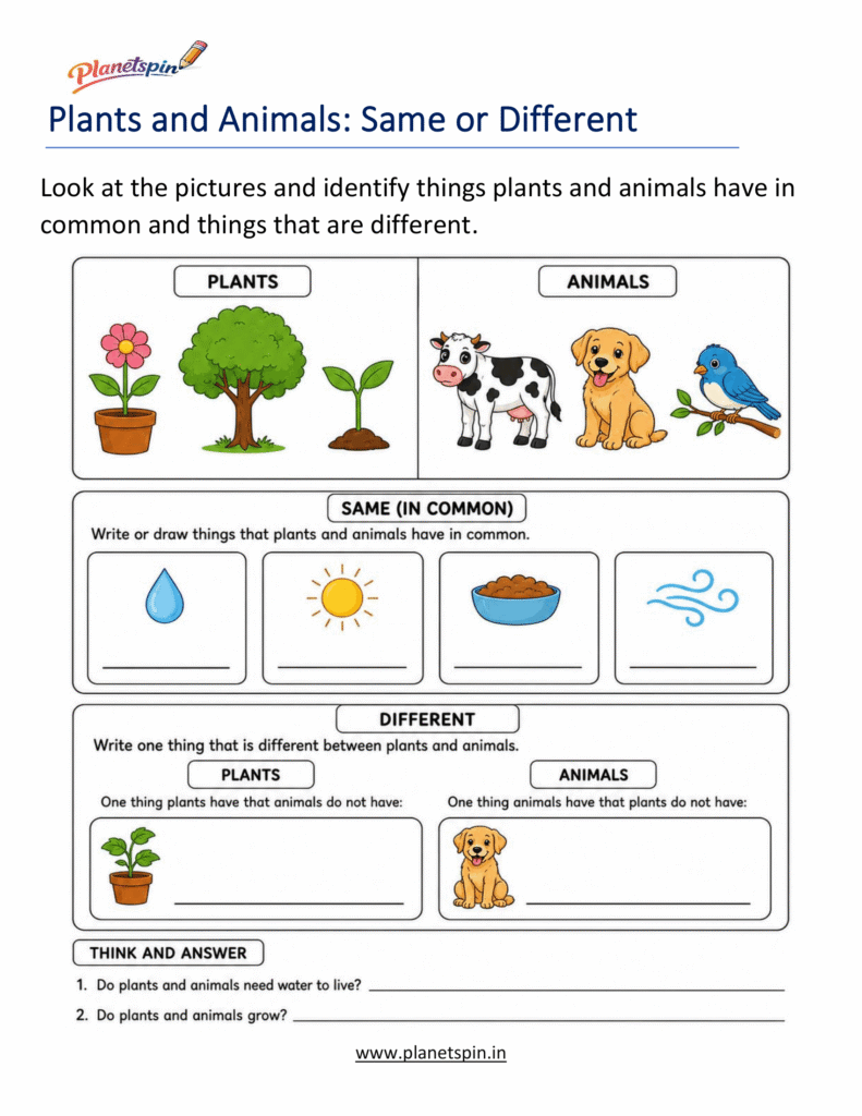 Plant and animal comparison worksheet for grade 1