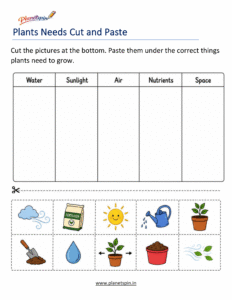 Plant needs cut and paste worksheet for Grade 1
