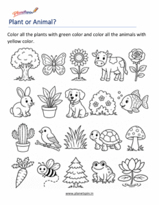 Plant vs animal worksheet for first grade