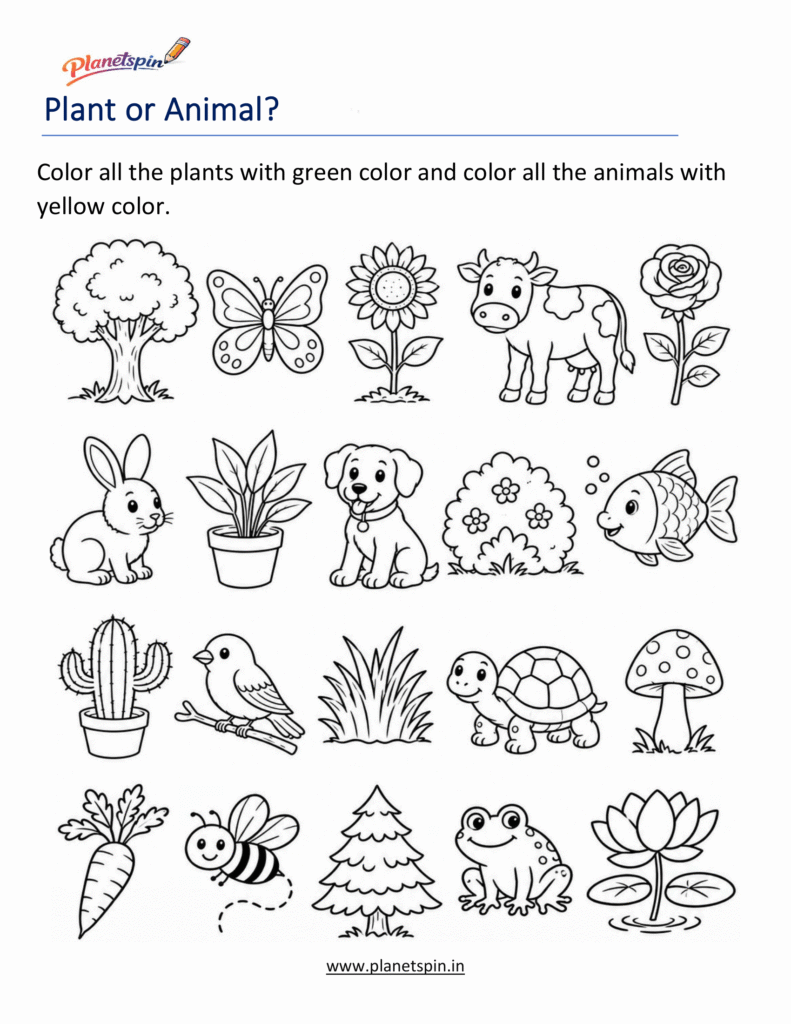 Plant and animal comparison worksheet for grade 1