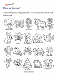 Plant and animal comparison worksheet for grade 1
