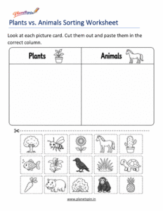 Plants and animals sorting worksheet for grade 1